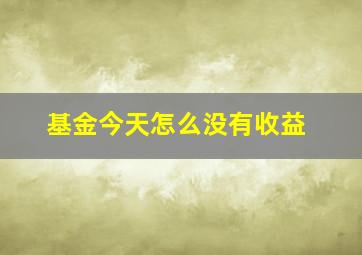 基金今天怎么没有收益