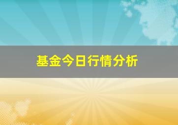 基金今日行情分析