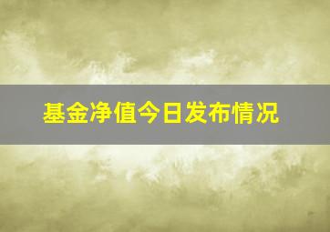 基金净值今日发布情况