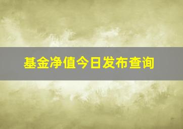 基金净值今日发布查询