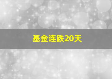 基金连跌20天