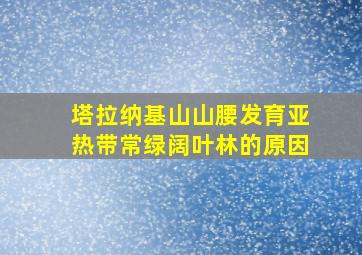 塔拉纳基山山腰发育亚热带常绿阔叶林的原因