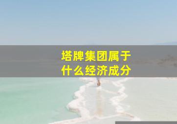 塔牌集团属于什么经济成分