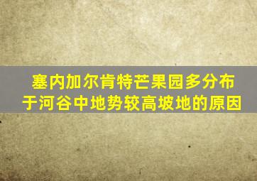 塞内加尔肯特芒果园多分布于河谷中地势较高坡地的原因