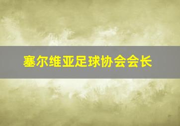 塞尔维亚足球协会会长