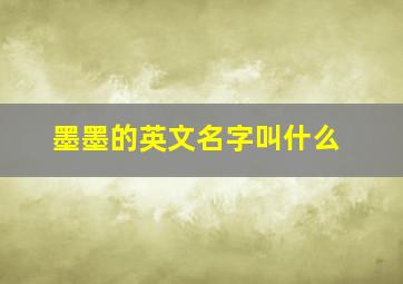 墨墨的英文名字叫什么