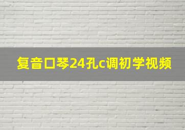 复音口琴24孔c调初学视频