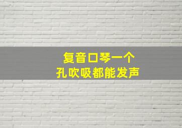 复音口琴一个孔吹吸都能发声