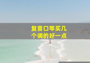 复音口琴买几个调的好一点