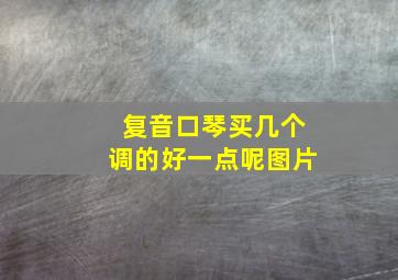 复音口琴买几个调的好一点呢图片