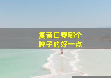 复音口琴哪个牌子的好一点