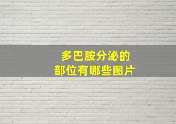 多巴胺分泌的部位有哪些图片