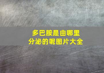 多巴胺是由哪里分泌的呢图片大全