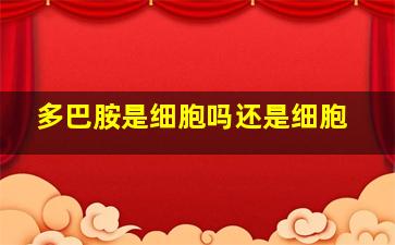 多巴胺是细胞吗还是细胞