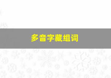 多音字藏组词