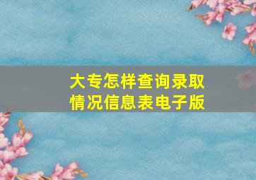 大专怎样查询录取情况信息表电子版