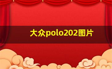 大众polo202图片