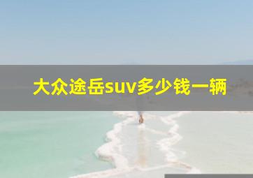 大众途岳suv多少钱一辆