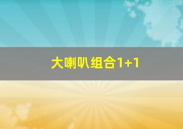 大喇叭组合1+1