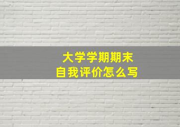 大学学期期末自我评价怎么写