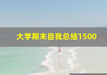 大学期末自我总结1500