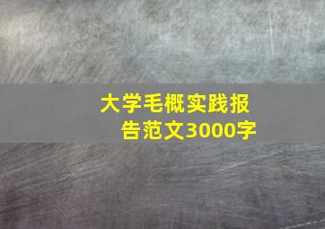 大学毛概实践报告范文3000字