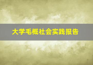 大学毛概社会实践报告