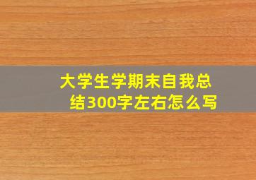 大学生学期末自我总结300字左右怎么写