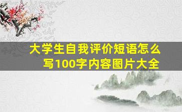 大学生自我评价短语怎么写100字内容图片大全