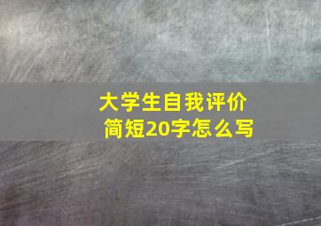 大学生自我评价简短20字怎么写