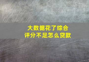 大数据花了综合评分不足怎么贷款