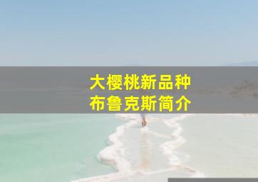 大樱桃新品种布鲁克斯简介