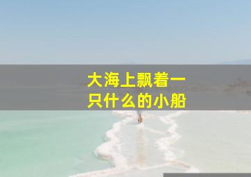 大海上飘着一只什么的小船