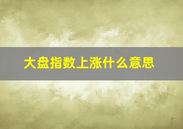 大盘指数上涨什么意思