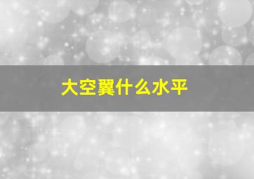 大空翼什么水平