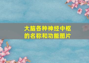 大脑各种神经中枢的名称和功能图片