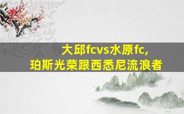 大邱fcvs水原fc,珀斯光荣跟西悉尼流浪者