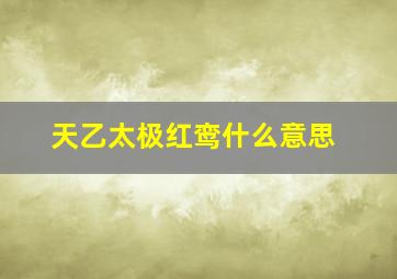 天乙太极红鸾什么意思