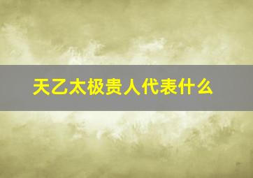 天乙太极贵人代表什么