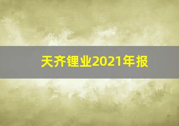 天齐锂业2021年报