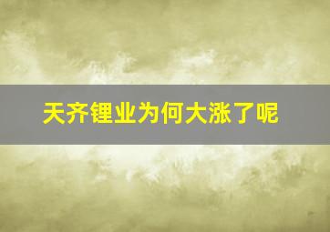 天齐锂业为何大涨了呢