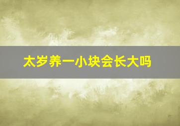 太岁养一小块会长大吗