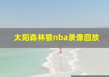 太阳森林狼nba录像回放