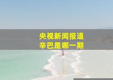 央视新闻报道辛巴是哪一期