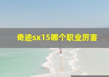 奇迹sx15哪个职业厉害