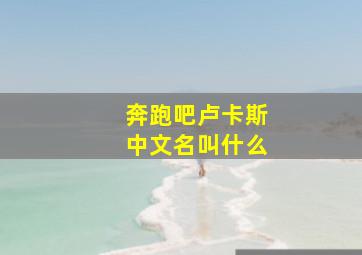 奔跑吧卢卡斯中文名叫什么