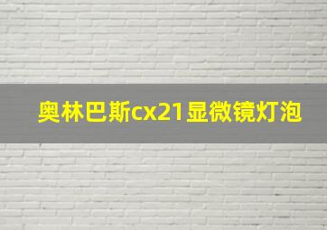 奥林巴斯cx21显微镜灯泡