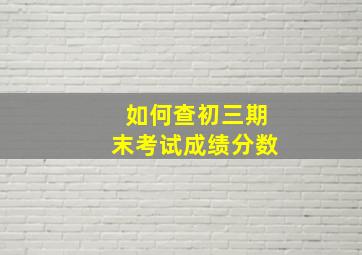 如何查初三期末考试成绩分数