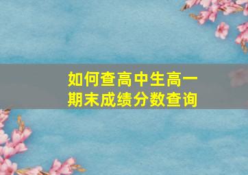 如何查高中生高一期末成绩分数查询