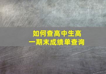 如何查高中生高一期末成绩单查询